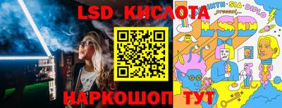 стафф Майкоп