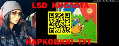 стафф Майкоп
