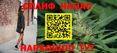 стафф Майкоп