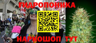 стафф Майкоп
