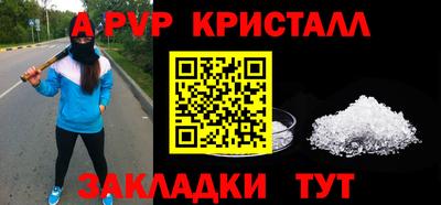 стафф Майкоп