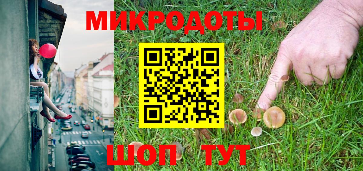 Псилоцибиновые грибы Psilocybine cubensis Вязники