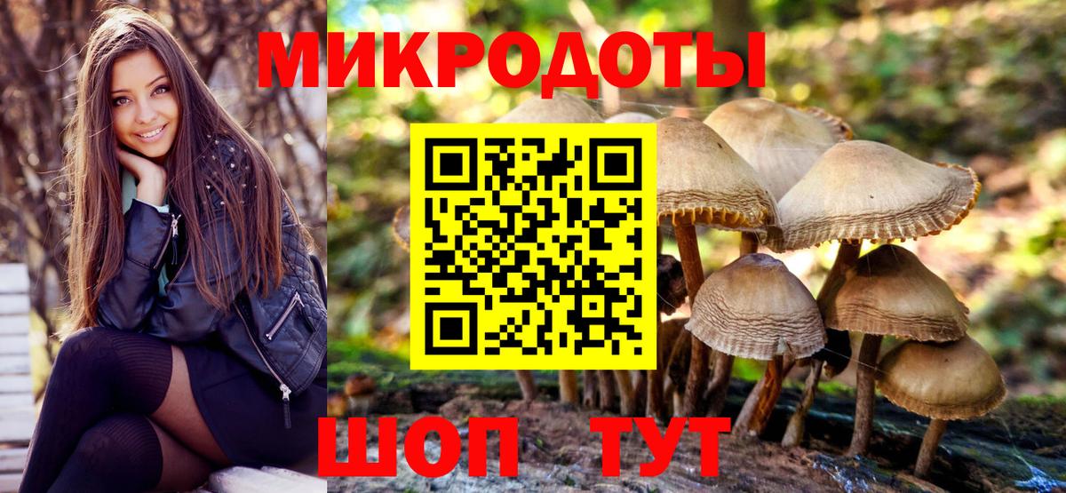 Вязники  Псилоцибиновые грибы GOLDEN TEACHER  Галлюциногенные грибы мицелий  Вход с VPN 