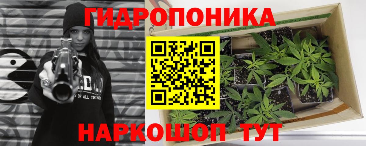 Каннабис LSD WEED  Шишки марихуана Amnesia  Вход с VPN  Конопля VHQ  Вязники  Марихуана SATIVA & INDICA 